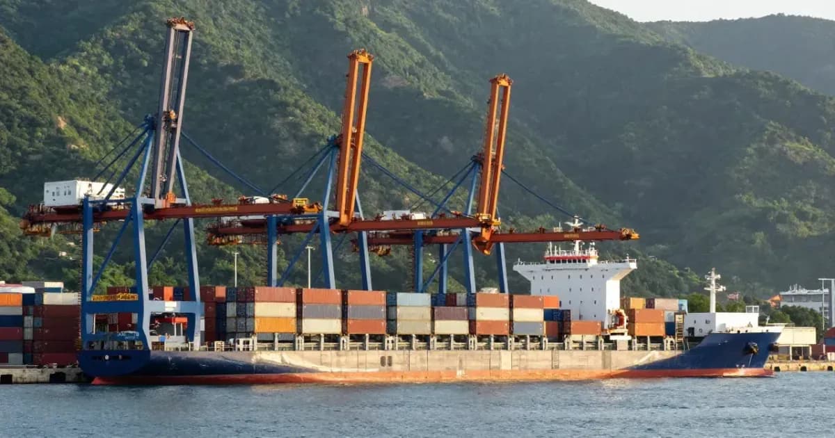 Yeşil dağların önünde konteyner vinçleri ve yük gemisi bulunan Karadeniz'de genel bir ticari liman (temsili görsel)